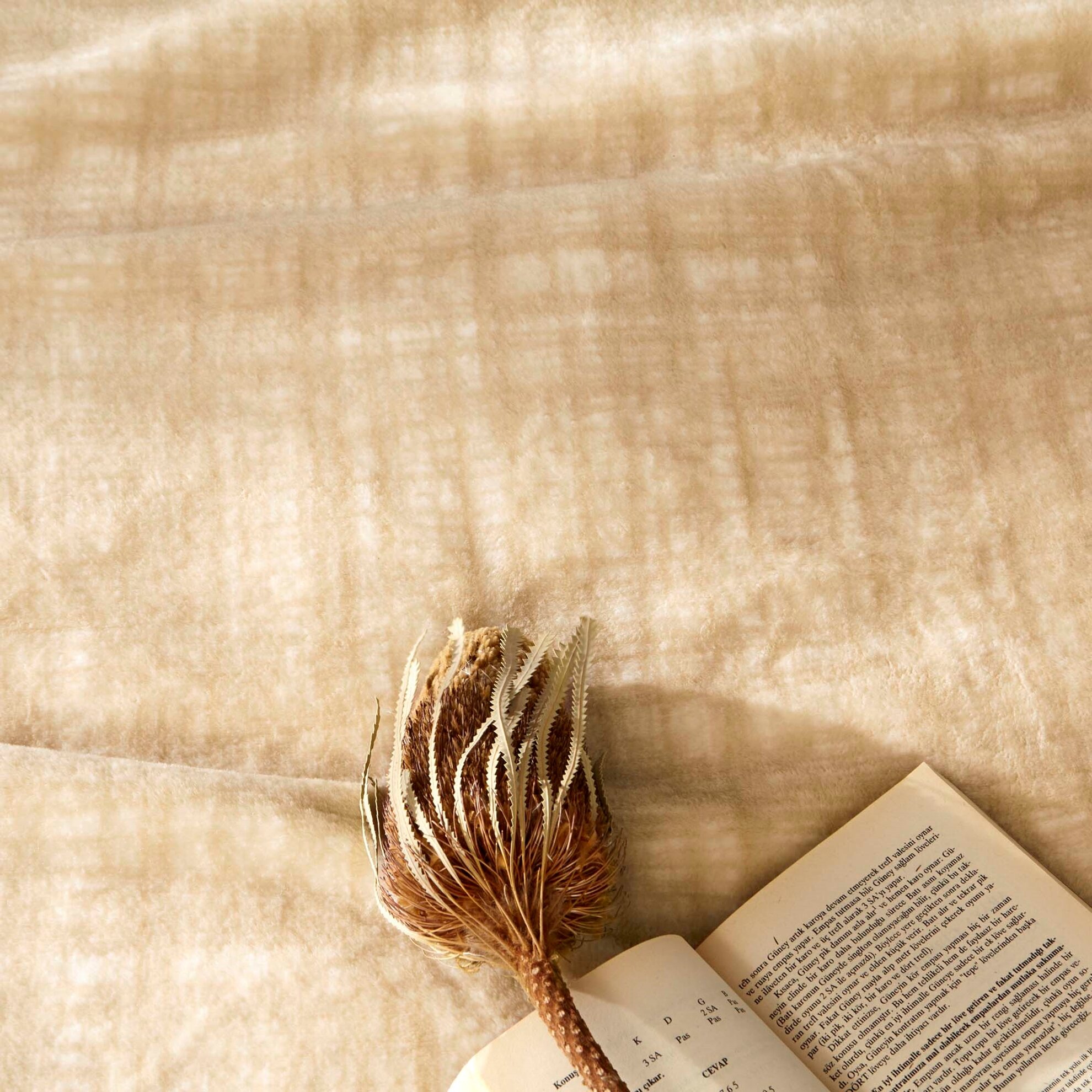 resm Linens Notus Battaniye Tek Kişilik Taş