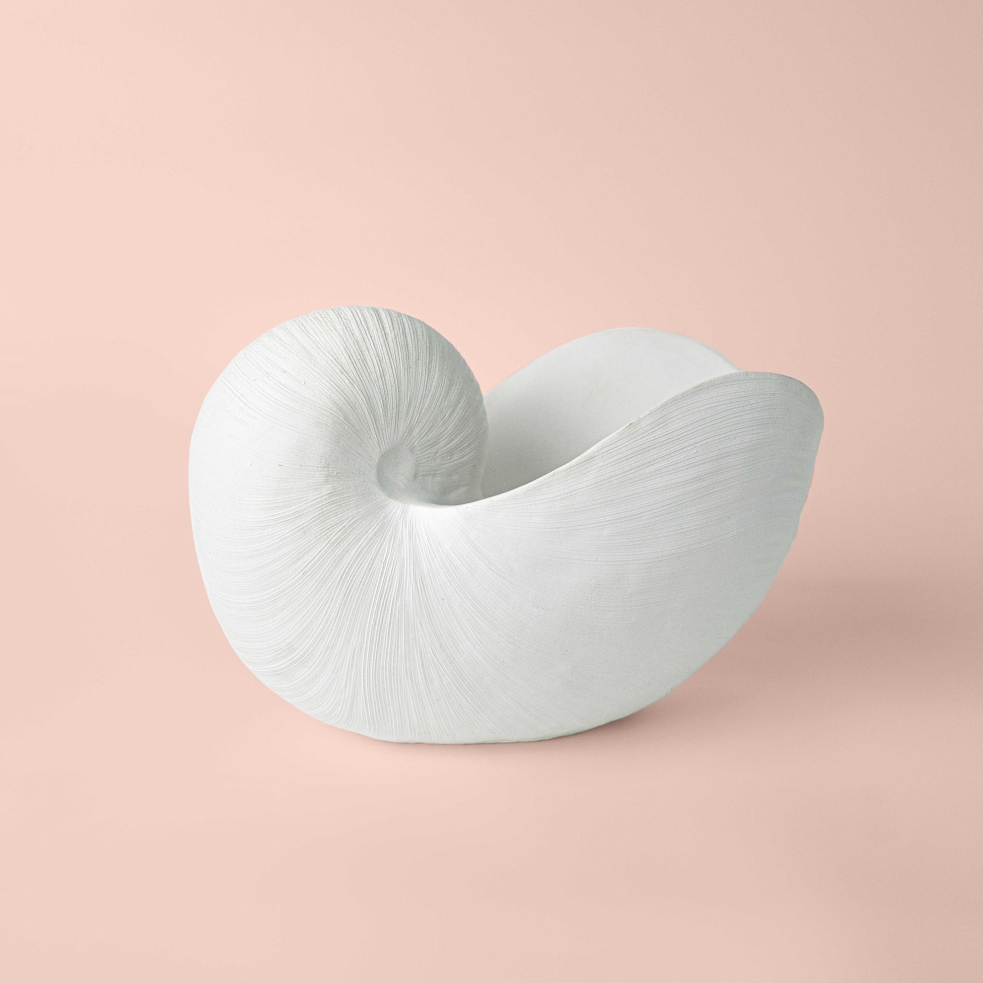 resm Linens Nautilus 29x17x20,5 cm Dekor Beyaz