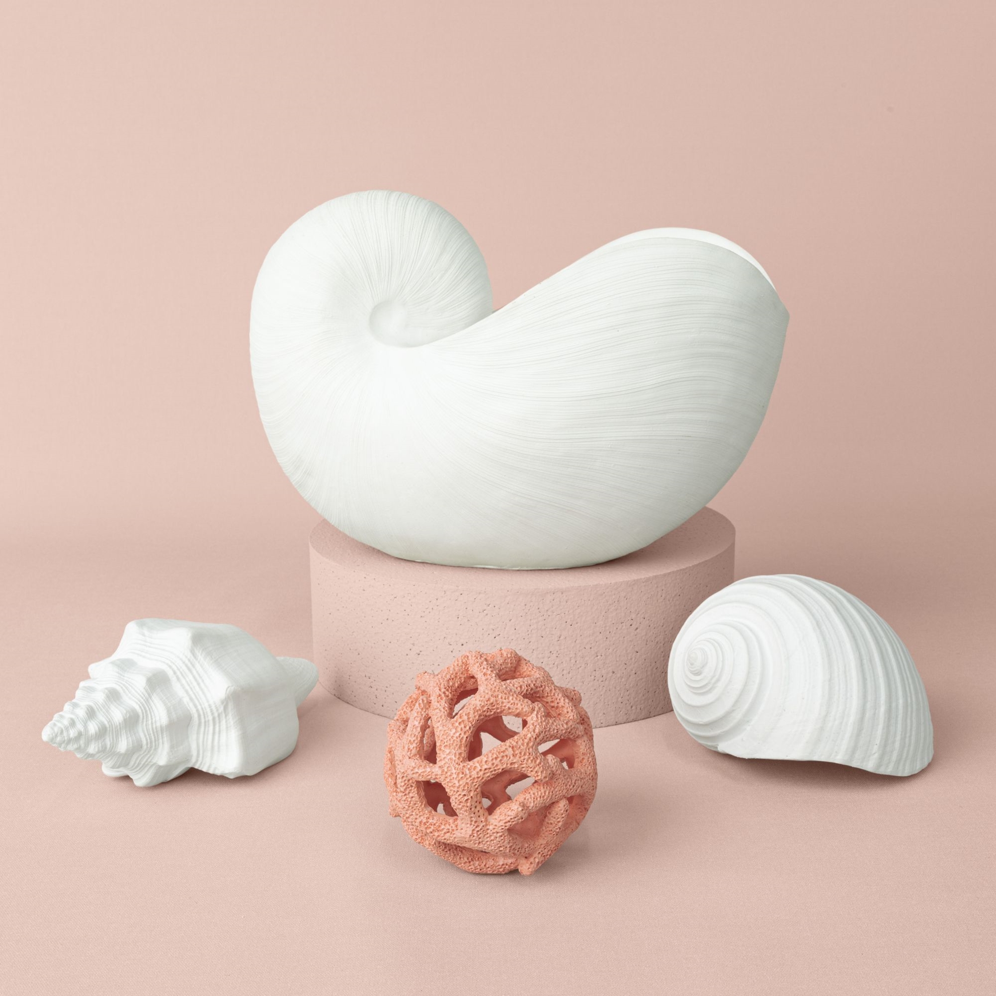 resm Linens Nautilus 29x17x20,5 cm Dekor Beyaz