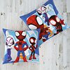 resm Lisanslı DH Spidey and Friends Pamuk 40x40 Kırlent