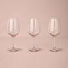 resm Linens Coral 3'lü 435 ml Kadeh Somon