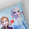 resm Lisanslı Disney Frozen Autumn 40x40 cm Kılent