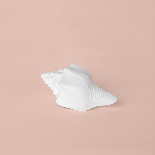 Resim Detayları Göster Linens Conch 18x9x8 cm Dekor Beyaz